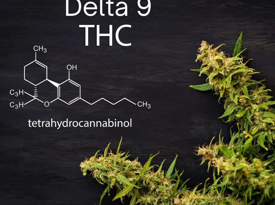 What Sets Delta 9 THC Crescent apart from Regular Cannabis?