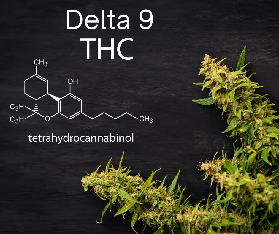 What Sets Delta 9 THC Crescent apart from Regular Cannabis?