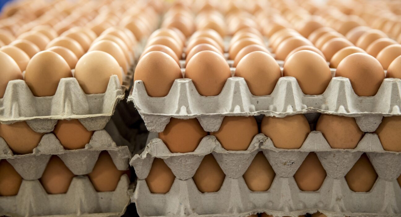 What are the key benefits of using egg cartons?