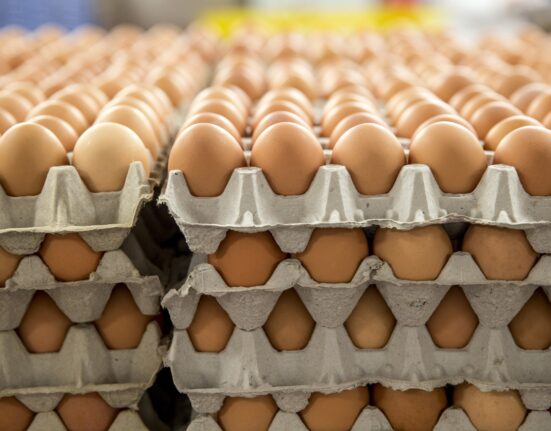 What are the key benefits of using egg cartons?