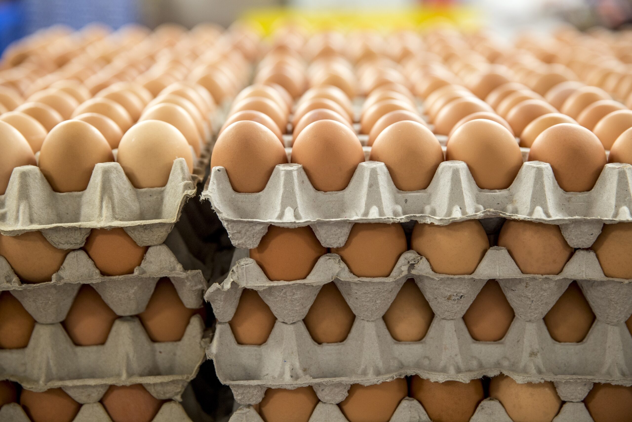 What are the key benefits of using egg cartons?